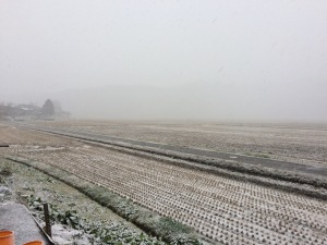 雪景色